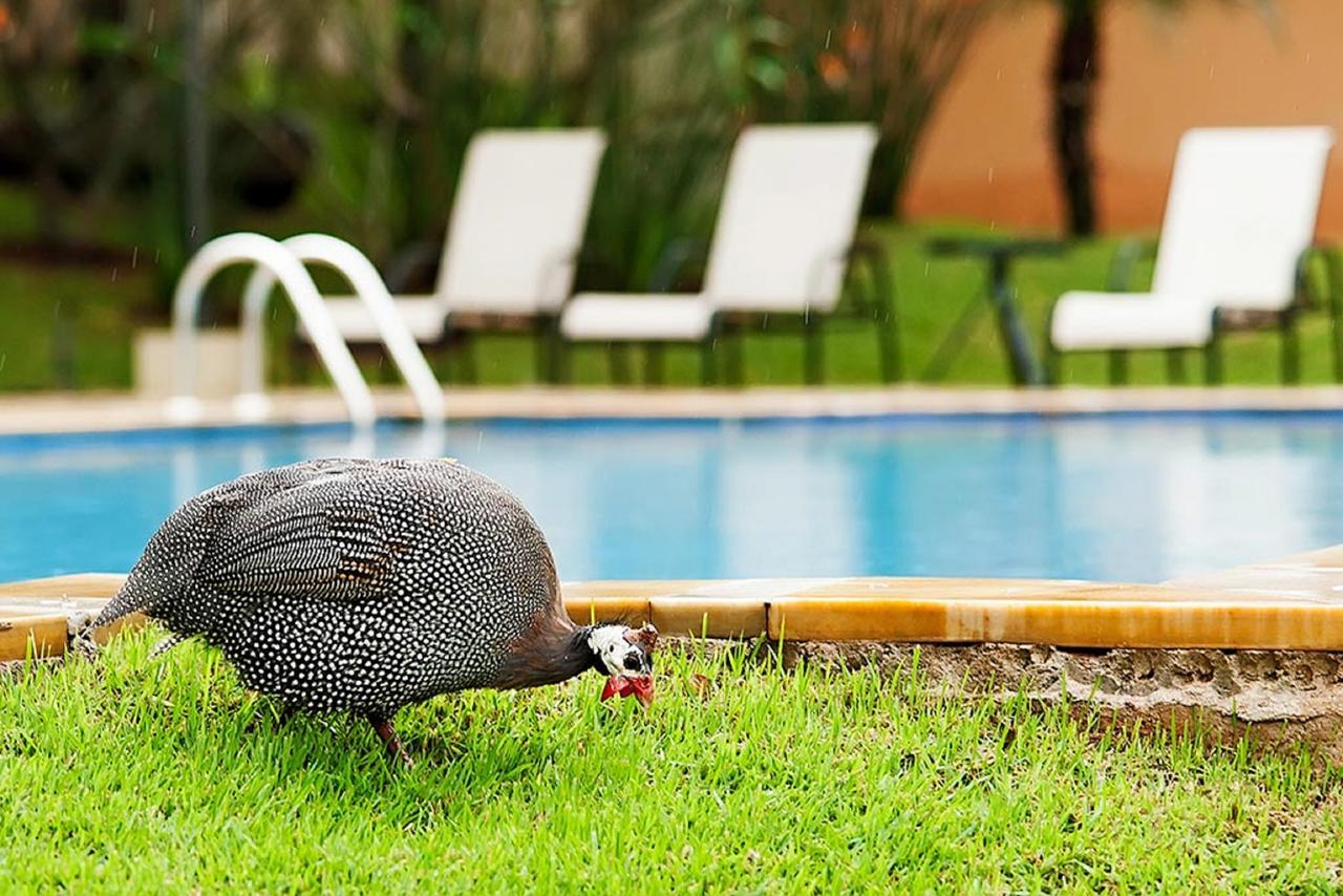 Vila Real Hotel Jaú 외부 사진